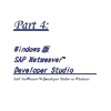 Part 4: Windows版 SAP NetWeaver Developer Studio